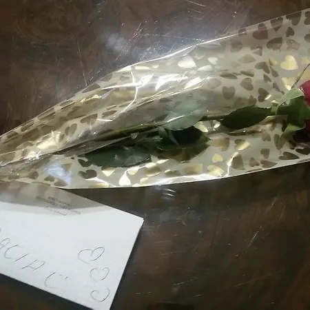 Casa Degli Oleandri * Bologna