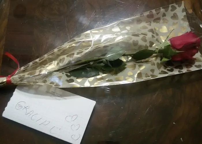 Casa Degli Oleandri * 볼로냐